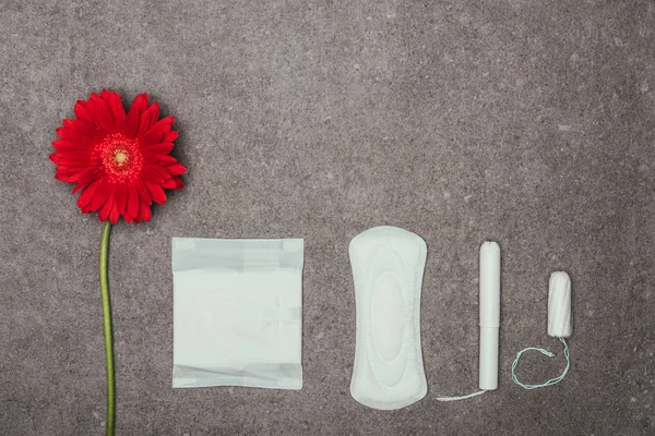 Draufsicht auf die Anordnung von roten Blüten, Menstruationspads und Tampons auf grauer Oberfläche — Stockfoto