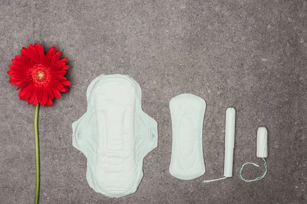 Top view of arrangement of red flower, menstrual pads and tampons on grey surface — Stock Photo