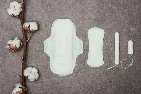 Vista superior do arranjo de galho de algodão, almofadas menstruais e tampões na superfície cinzenta — Fotografia de Stock