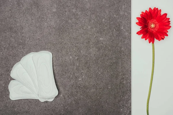 Top view of arranged menstrual pads and red flower on grey surface — Stock Photo