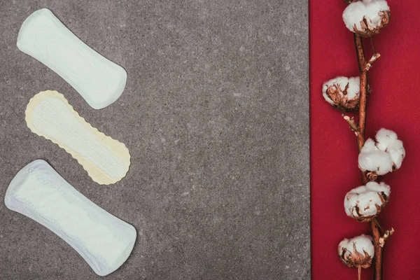 Vue de dessus des serviettes menstruelles disposées et des rameaux de coton — Photo de stock