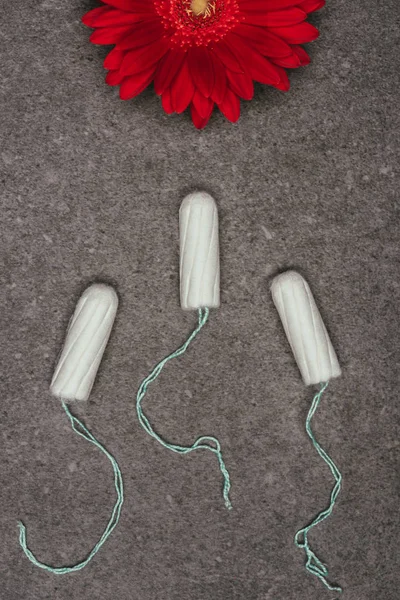 Верхний вид организованных менструальных тампонов и красного цветка на серой поверхности — стоковое фото
