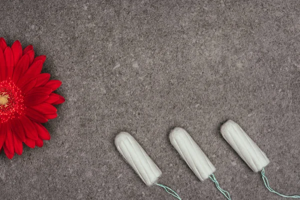 Vue de dessus des tampons menstruels disposés et fleur rouge sur la surface grise — Photo de stock