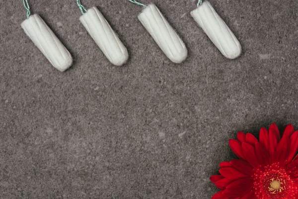 Top view of arranged menstrual tampons and red flower on grey surface — Stock Photo