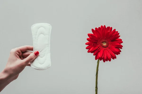 Visão parcial da mulher segurando almofada menstrual na mão com flor perto por isolado em cinza — Fotografia de Stock