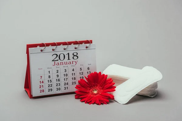 Vista de cerca de las almohadillas de calendario, flores y menstruales aisladas en gris - foto de stock