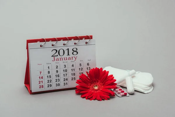 Close up view of calendar, flower, pills, menstrual pads and tampons isolated on grey — Stock Photo