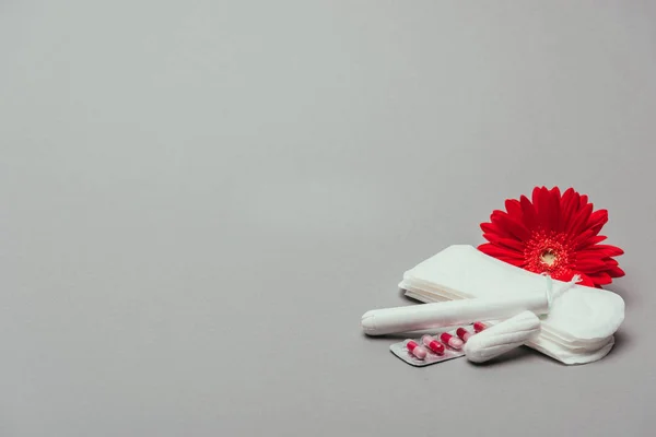 Nahaufnahme von Blüten, Pillen, Menstruationspolstern und Tampons isoliert auf grau — Stockfoto