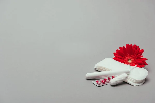 Vista de cerca de flores, píldoras, almohadillas menstruales y tampones aislados en gris - foto de stock