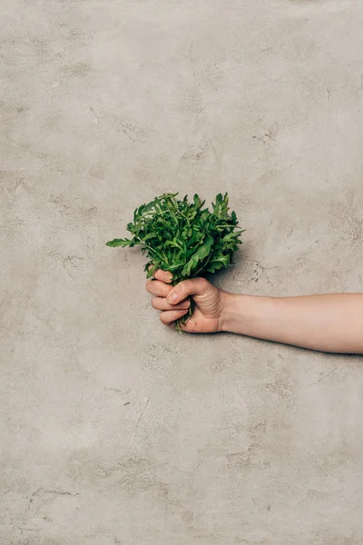 Close-up view of hand holding bunch of green arugula leaves — Stock Photo