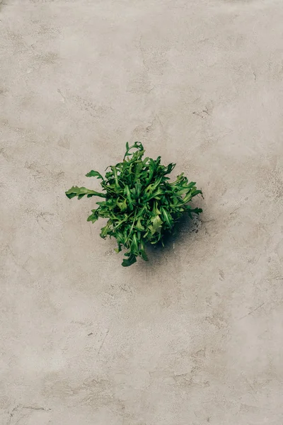 Bando de folhas de arugula verde no fundo claro — Fotografia de Stock