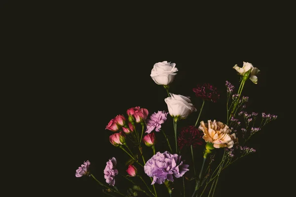 Bellissimi vari fiori teneri fioriti isolati su nero — Foto stock