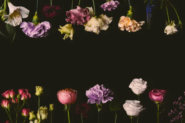 Colección de hermosas flores tiernas florecientes frescas aisladas en negro - foto de stock