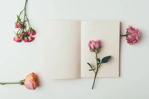 Draufsicht auf schöne zartrosa Blumen und leere Karte auf grau — Stockfoto