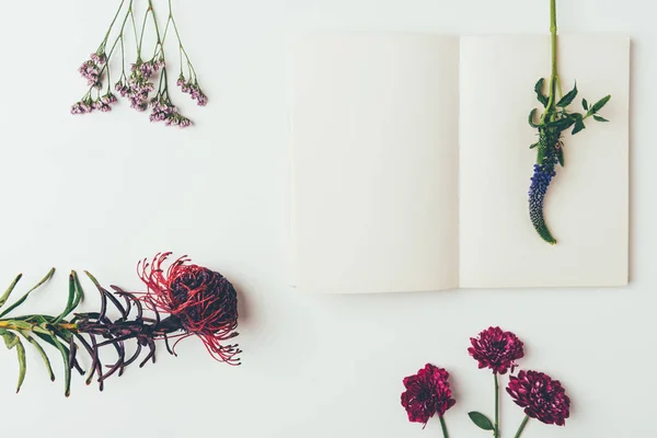 Top view of beautiful blooming flowers with blank card on grey — Stock Photo