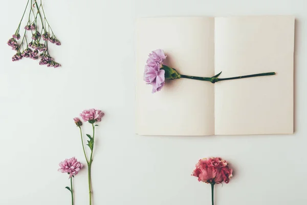 Vista superior de belas flores rosa e roxas concurso com cartão em branco no cinza — Fotografia de Stock