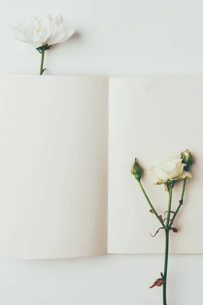 Vue du dessus de belles fleurs blanches tendres et carte de vœux vierge sur gris — Photo de stock