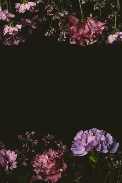 Belles fleurs roses et violettes élégantes isolées sur noir — Photo de stock