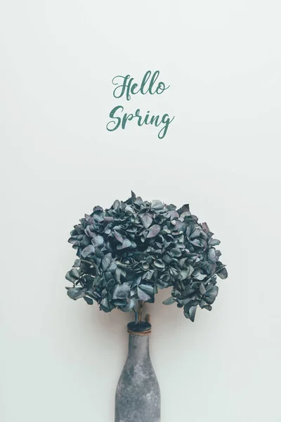 Blossoming decorative flowers in bottle and inscription hello spring on grey — Stock Photo