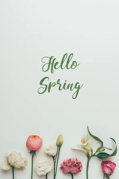 Beautiful tender blooming flowers and inscription hello spring on grey — Stock Photo