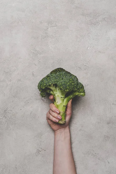 Cropped shot of person holding fresh organic broccoli on grey — Stock Photo