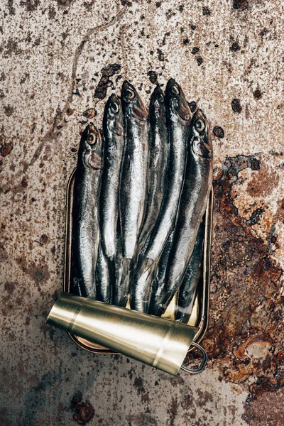 Top view of pile of fish in canister on rustic surface — Stock Photo