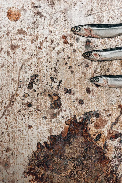 Обрізане зображення трьох маленьких риб поспіль на сільській поверхні — стокове фото