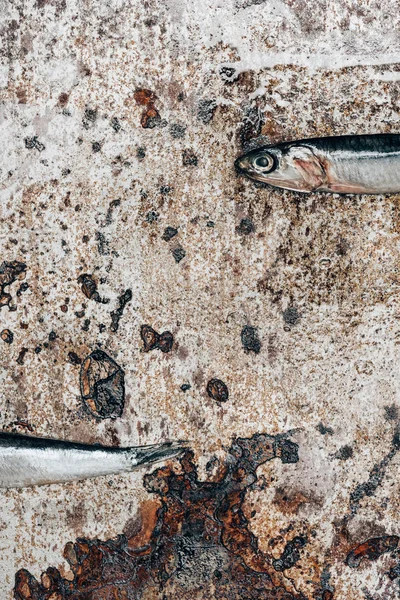 Vue partielle de deux petits poissons sur la surface rustique — Photo de stock
