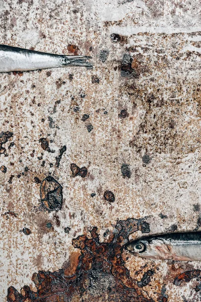 Vista parziale di due pesciolini su superficie rustica — Foto stock