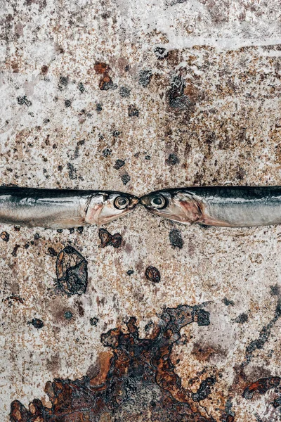 Top view of two little fish on rustic surface — Stock Photo