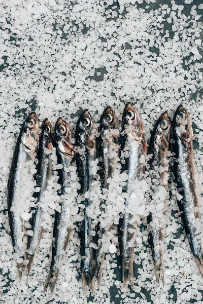 Top view of pile of salted fish and on surface covered by salt — Stock Photo