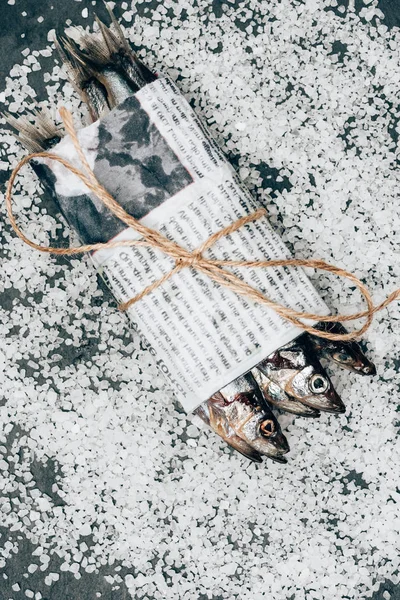 Vue du dessus d'un tas de poisson dans un journal enveloppé par une ficelle sur une surface recouverte de sel — Photo de stock