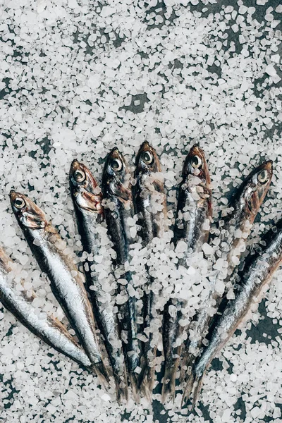 Montón de pescado salado en la superficie cubierta de sal - foto de stock