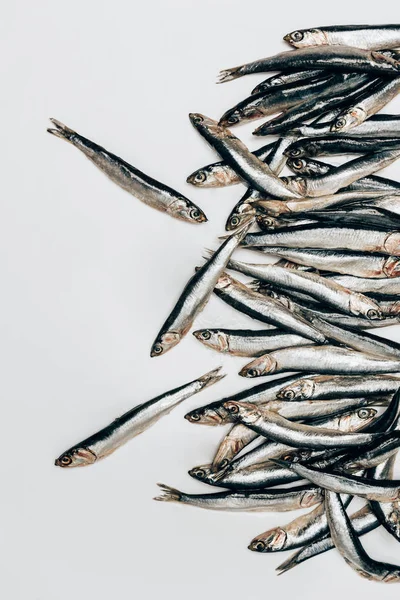 Vue du dessus de tas de poissons isolés sur blanc — Photo de stock