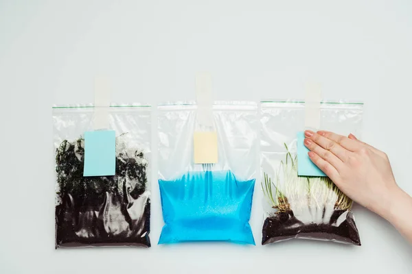 Обрезанное изображение женщины, приклеивающей бумажные простыни на пластиковые пакеты с почвой, водой и саженцами, изолированные на белом, концепция Дня Земли — стоковое фото