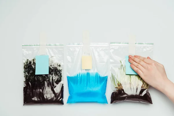 Imagen recortada de la mujer pegando hojas de papel en bolsas de plástico con suelo, agua y plántulas aisladas en blanco, concepto del día de la tierra - foto de stock