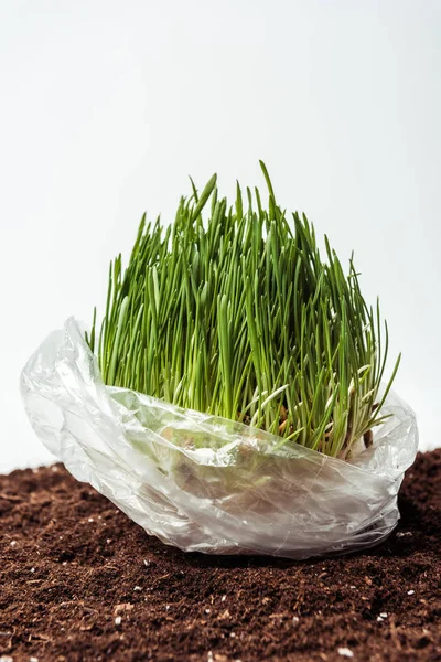 Semis en sac plastique sur sol isolé sur blanc, concept jour terre — Photo de stock