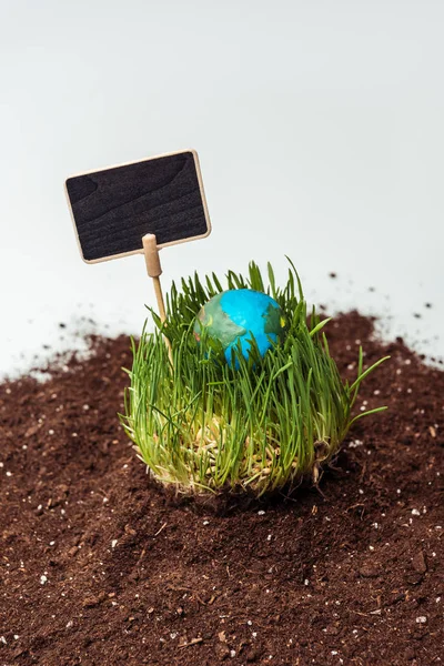 Seedling with earth model and blackboard on soil isolated on white, earth day concept — Stock Photo
