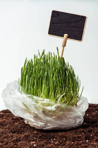 Plántulas con pizarra en bolsa de plástico en el suelo aislado en blanco, concepto de día de tierra - foto de stock