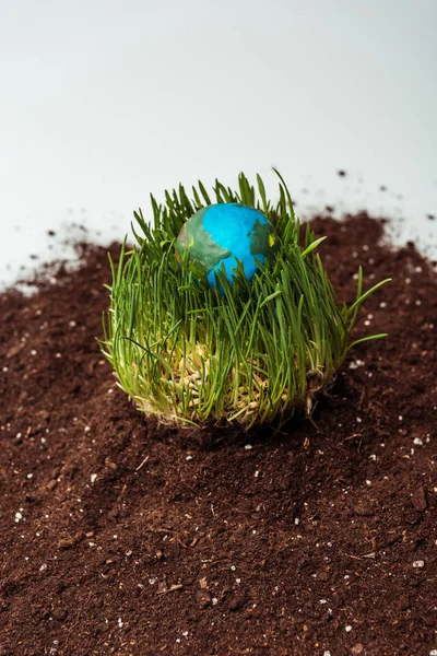 Planta cultivada de sementes com modelo de terra em solo isolado em branco, conceito de dia de terra — Fotografia de Stock