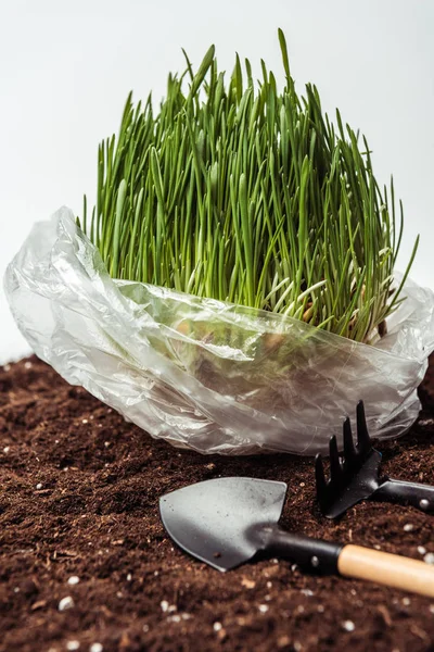 Sämling in Plastiktüte auf Erde mit Gartenschaufel und Harke isoliert auf weißem, Earth Day-Konzept — Stockfoto