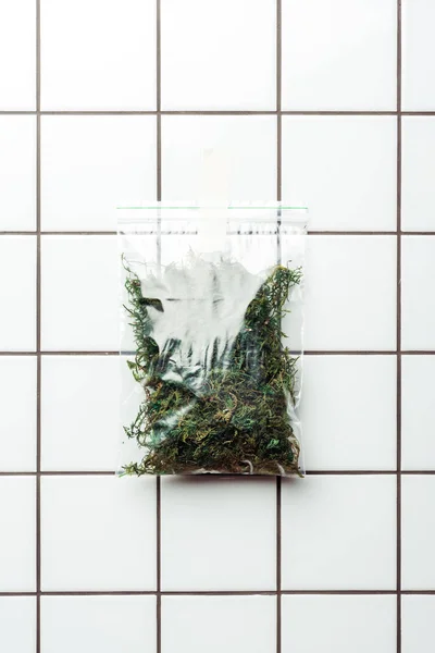 Sac en plastique ziplock avec des plantes séchées accrochées au mur de tuiles, concept de jour de terre — Photo de stock