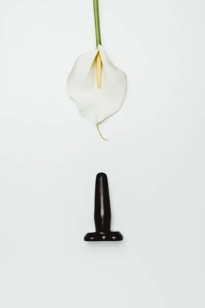 Black butt plug with white calla flower isolated on white — Stock Photo