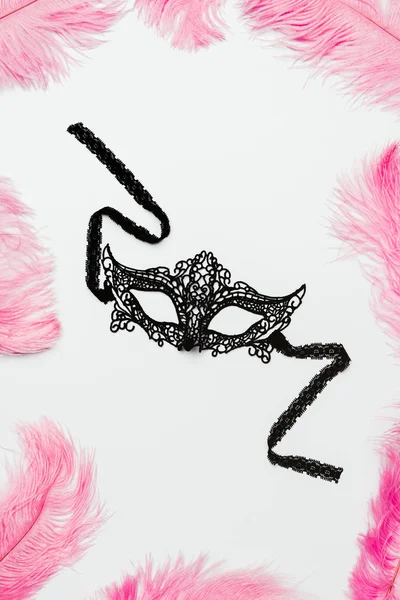 Schwarze Spitzenmaske mit rosafarbenen Federn auf weißem Grund — Stockfoto