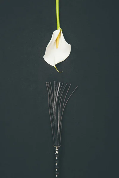 Fouet de flagellation en cuir noir avec fleur de calla blanche isolé sur noir — Photo de stock