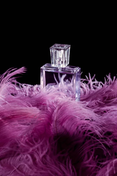 Flacon de parfum debout sur plumes roses, isolé sur noir — Photo de stock