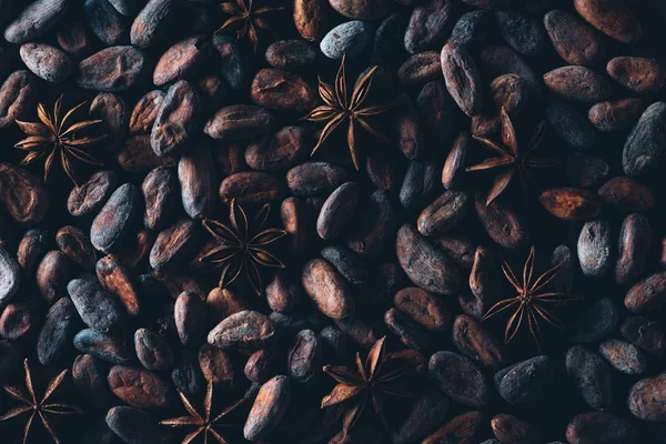 Full frame view of delicious cocoa beans and star anise background — Stock Photo