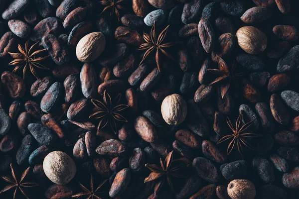 Vista de marco completo de deliciosos granos de cacao y fondo de anís estrellado — Stock Photo