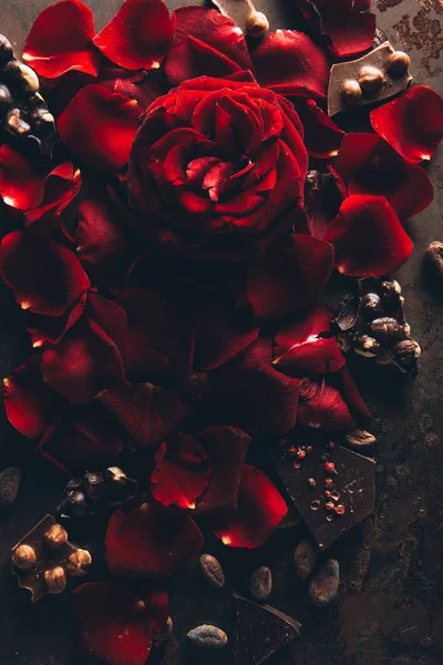 Vista superior de hermosos pétalos de rosa roja y chocolate gourmet con avellanas - foto de stock