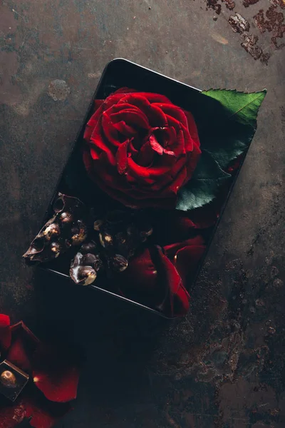 Vista superior de chocolate delicioso com avelãs e bela rosa vermelha na superfície escura — Fotografia de Stock
